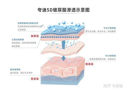 华熙生物夸迪5D玻尿酸产品到底好在哪里 跟普通玻尿酸的区别