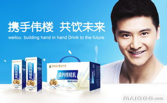 伟楼品牌 品牌介绍