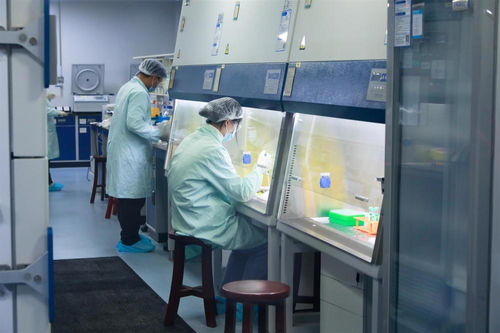 十部门围着一罐人体血清转,揭秘上海生物医药 白名单 企业特殊物品进境路