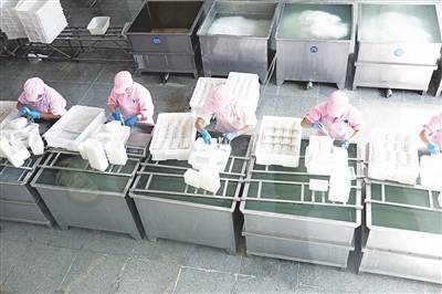项目建设快马加鞭