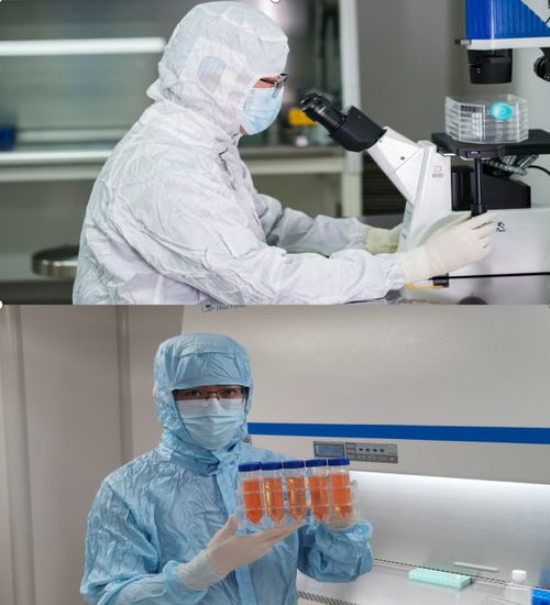 中国人保为烟台旭智生物承保产品责任险,为消费者保驾护航