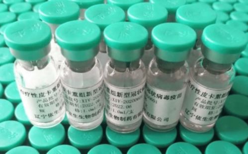 皮卡重组蛋白 疫苗走红,依生生物面向全球推广,首站阿联酋
